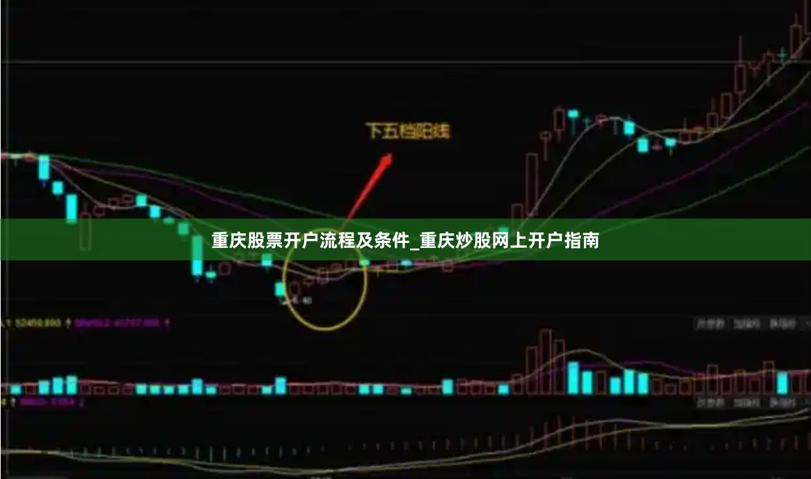 重庆股票开户流程及条件_重庆炒股网上开户指南