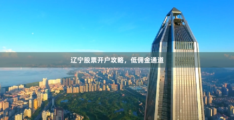 辽宁股票开户攻略，低佣金通道