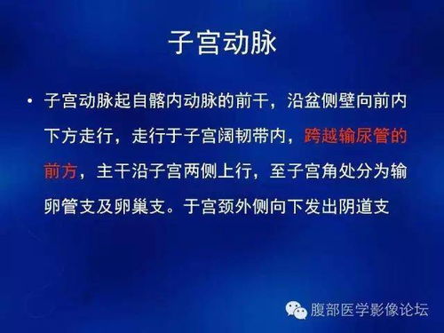 女性生殖系统CT诊断基础与技术研发前沿（上篇）
