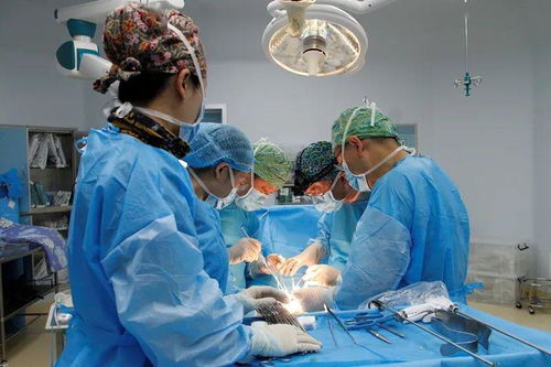 云南省肿瘤医院 昆明医科大学第三附属医院启动双休日诊疗服务，并深化诊断技术研发